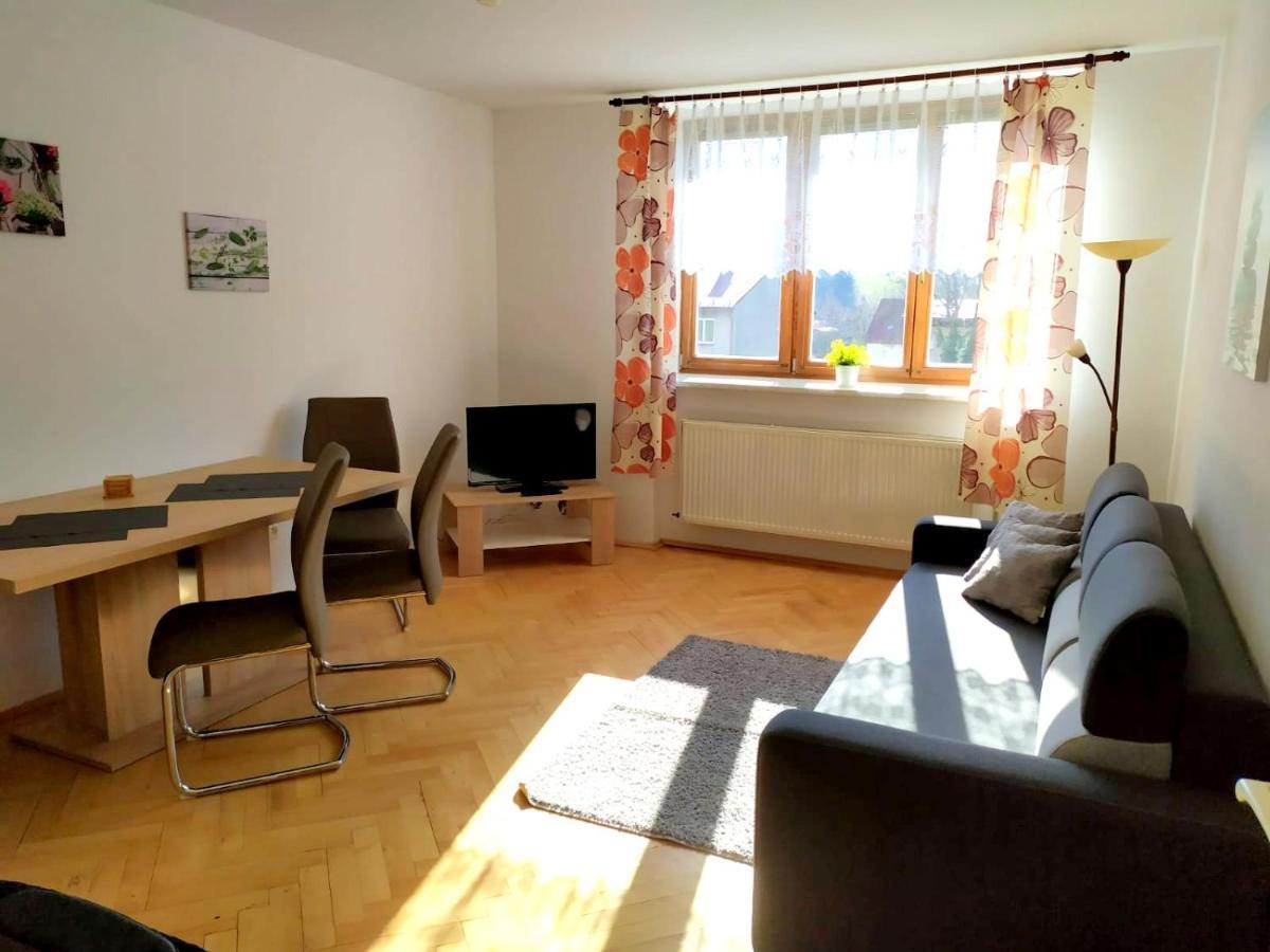 Апартаменти Apartman Destne 58 Дештне-в-Орлицьких-Горах Екстер'єр фото